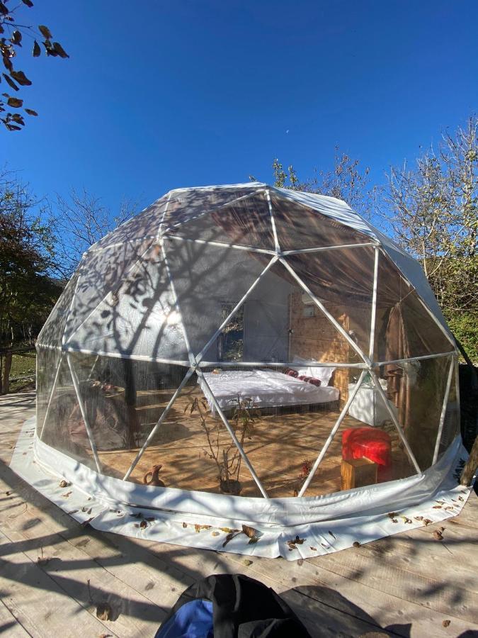 Hotel Elsesi Racha Glamping Ambrolauri Exterior foto